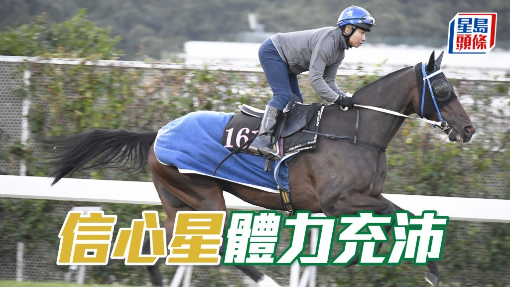 「信心星」身靚力度充足，長期呈勇。