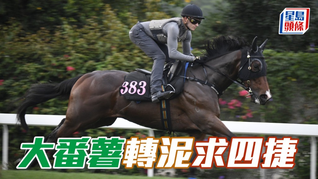  「大番薯」今场回师首本的泥地千二米，且看能否进一步，再为马主带来惊喜的演出。