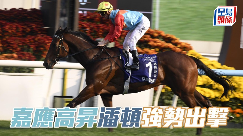 潘顿伙拍「嘉应高升」下周一强势出战二级赛短途锦标，力争十九连捷。