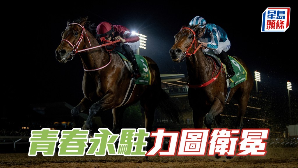 「青春永驻」养精蓄锐，力图卫冕一级赛沙特杯。