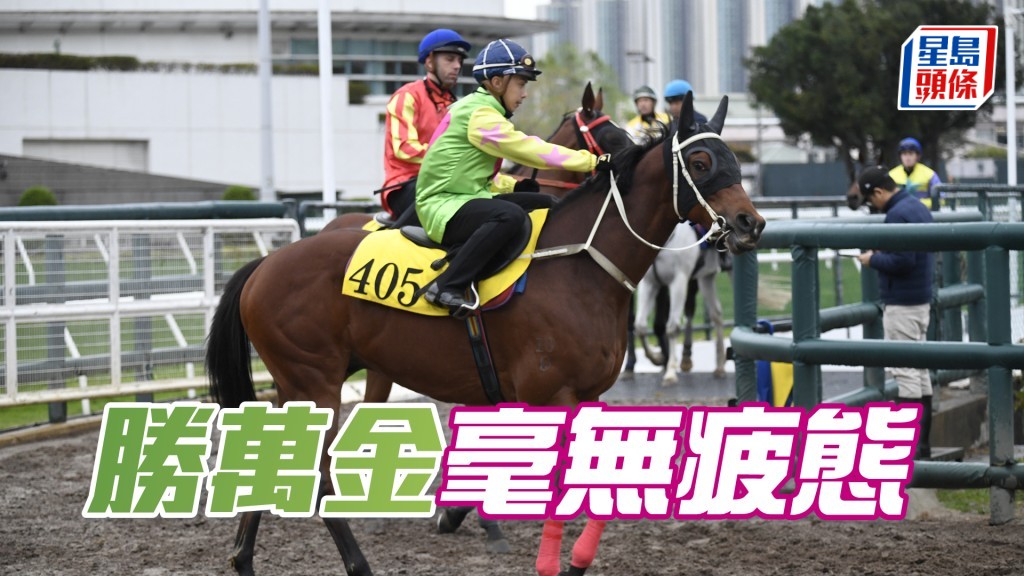 「勝萬金」谷起雞公頸而馳，火力未減半分。