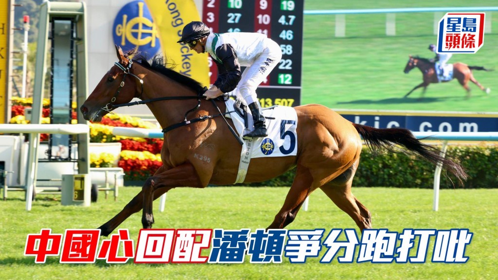 「中國心」回配潘頓爭分跑打吡