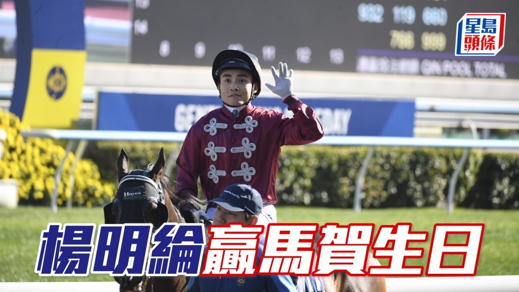 杨明纶赢马贺生日