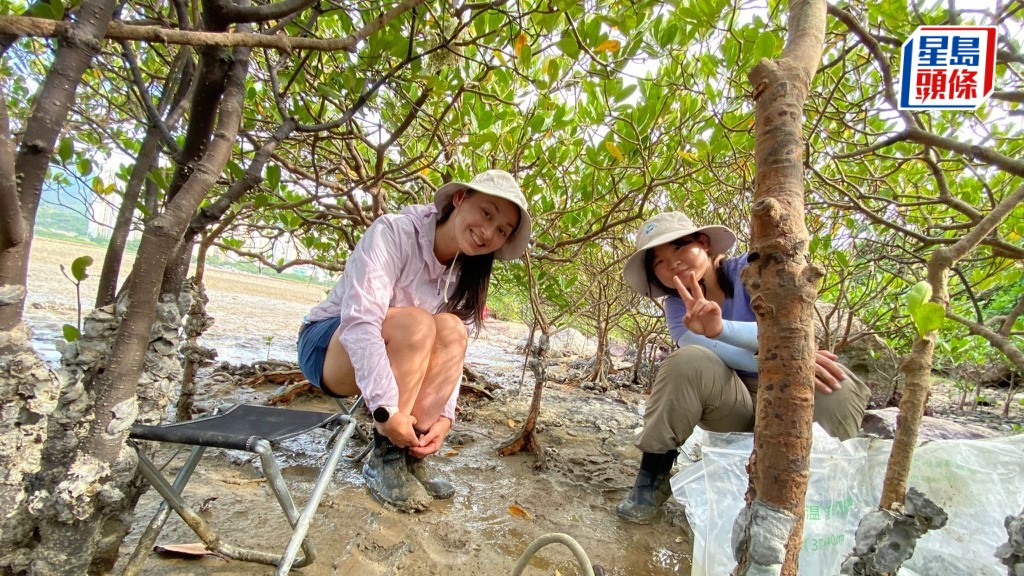 紅樹林不只能吸收二氧化碳，還能有效清除氮污染，為人類節省巨大開銷。中大提供