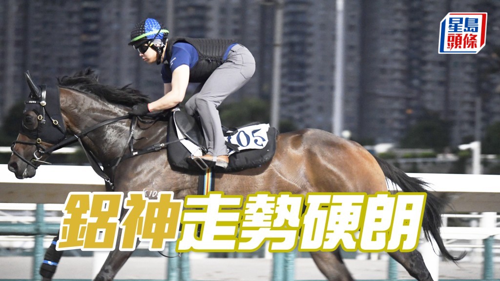 「鋁神」馬身粗壯，毛色又有光澤。
