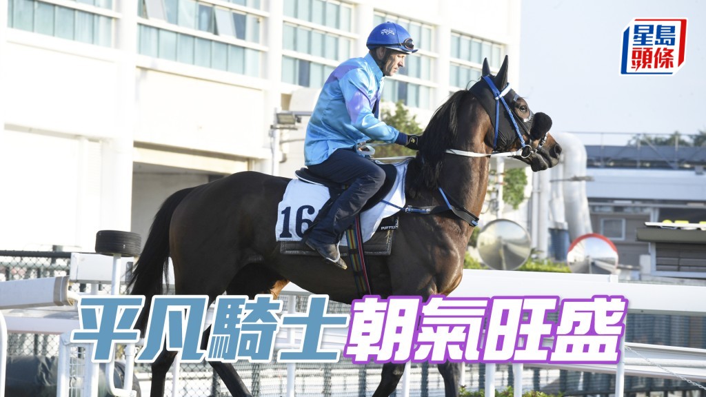 「平凡騎士」步順輕快有彈力，仍在勇境。