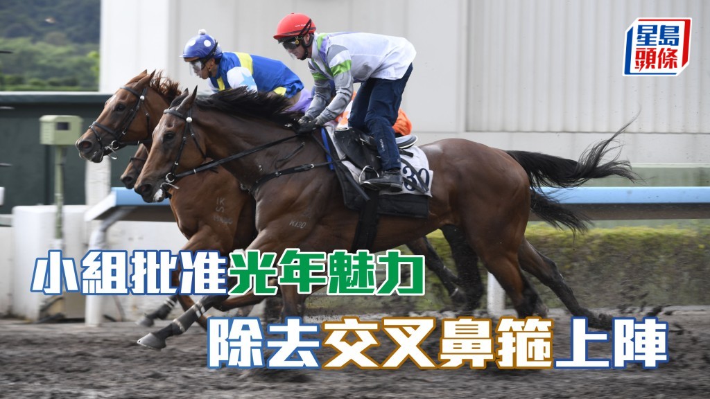  小組批准「光年魅力」(外) 除去交叉鼻箍上陣。
