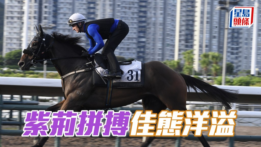 「紫荊拼搏」跨步爽朗勁度夠，馬身保持壯健。