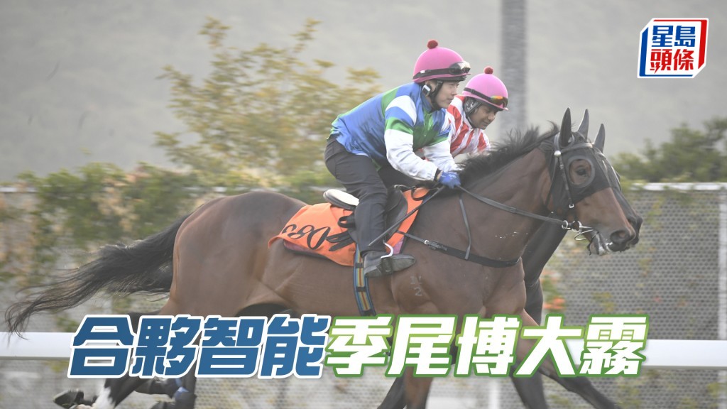「合夥智能」試閘吸引有台型，血統早熟值得博。