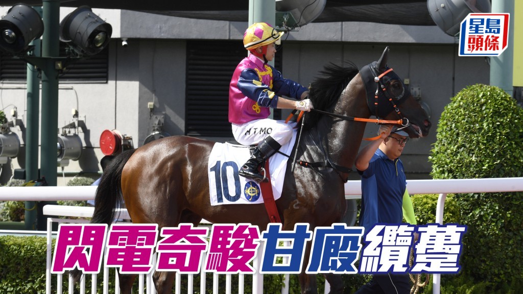 甘敏斯今期出馬積極，「閃電奇駿」隨時是變倍器。