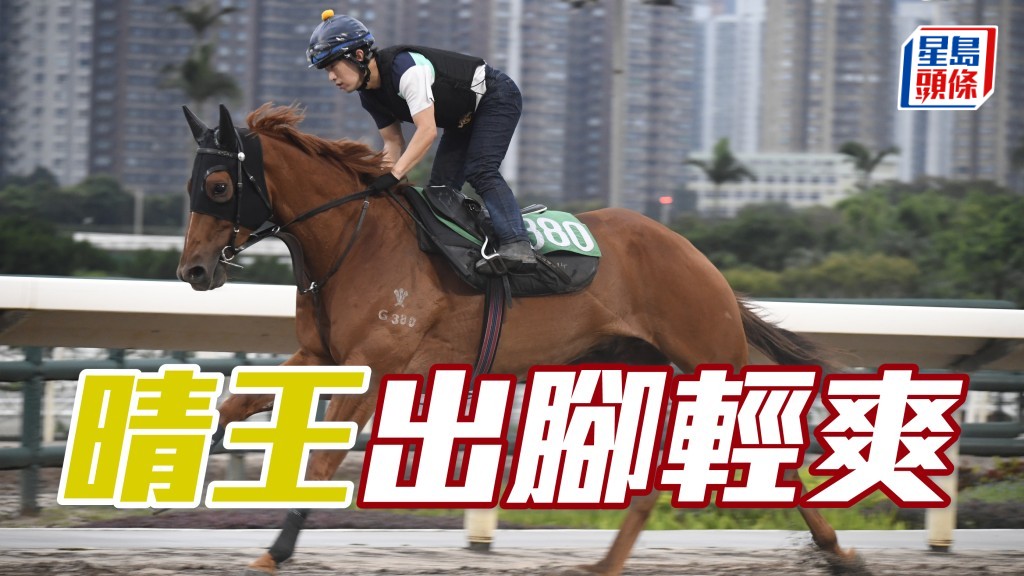 「晴王」助手踱一圈，以輕鬆姿態完成，大馬出腳輕爽力度充足，毛色立立靚且充滿光澤。