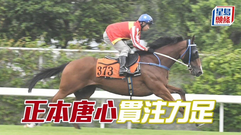 「正本唐心」神态畅旺活力充沛，持续进步。
