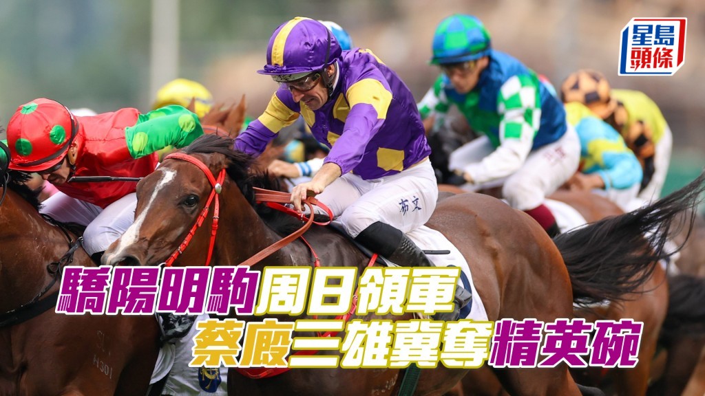 「驕陽明駒」(外)是本港最佳短途馬之一。