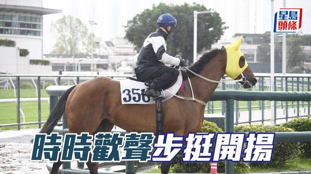 「时时欢声」马身扎实神态极佳，持续态勇无走样。