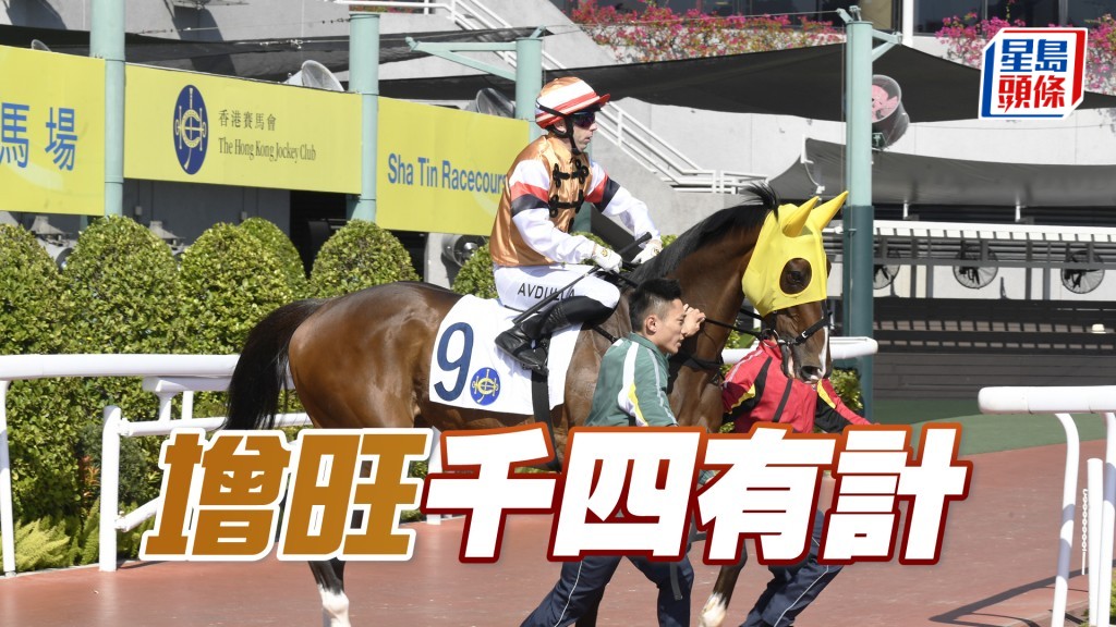 「增旺」千四有計