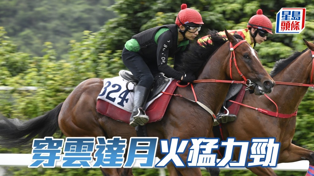 「穿雲達月」今晨出試時火猛力勁，佳態保持。