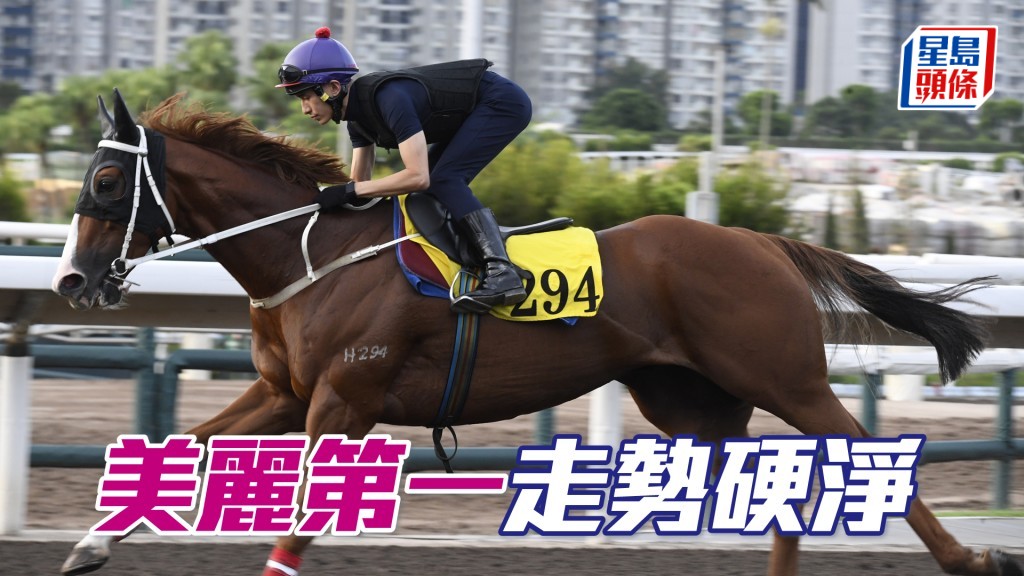 「美麗第一」清風送爽輕鬆完成。
