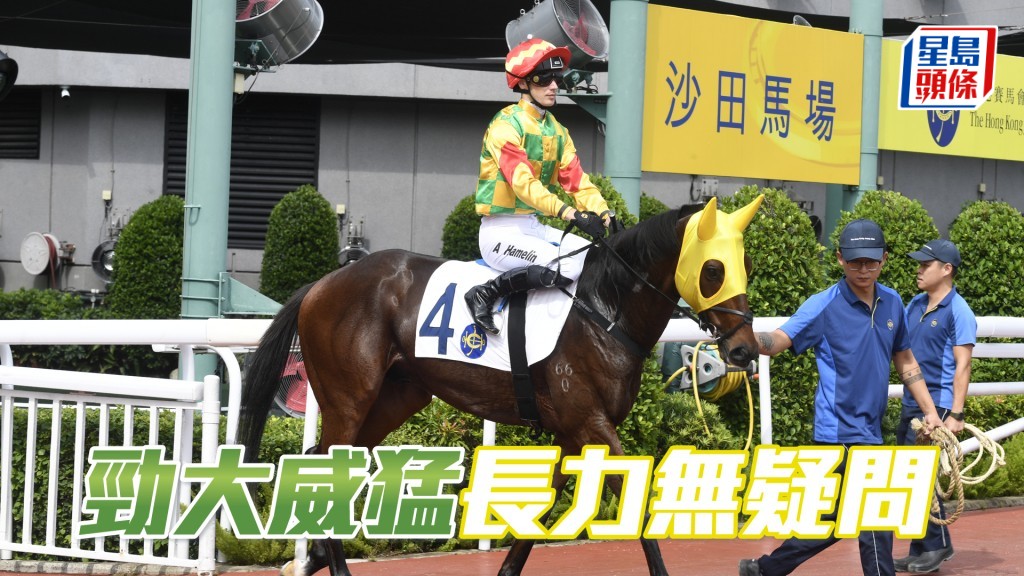 「勁大威猛」下線具長力,有望在直路衝三百米奠勝。