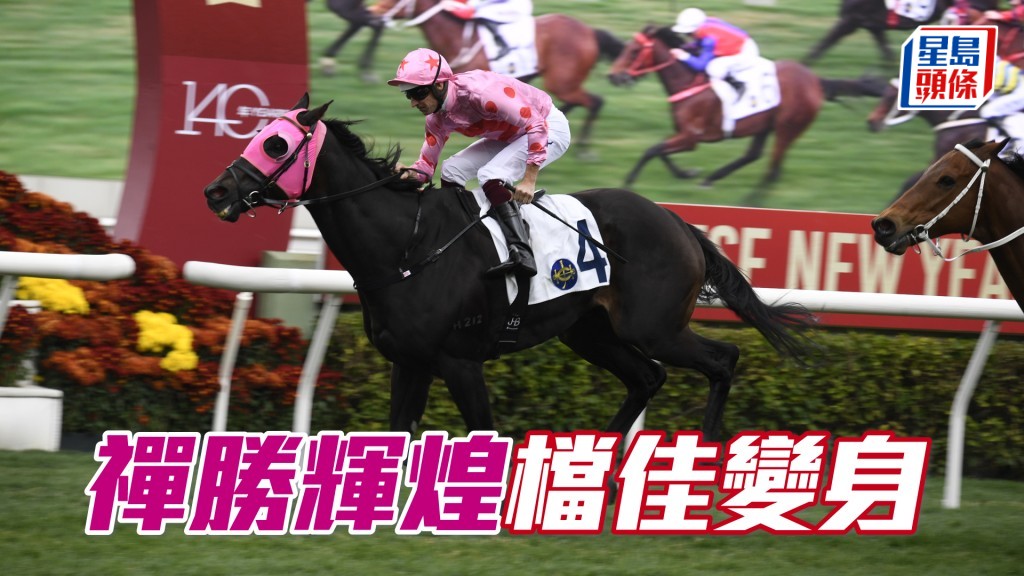 「禪勝輝煌」今次排五檔位,估計可守好位有遮擋,有望交出更強實力。