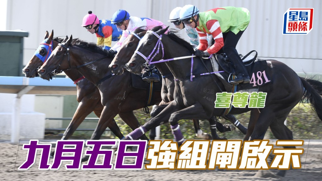 「喜尊龍」(外) 試罷強組閘後，九月十九日於泥地千二米再試閘，該組頭馬是慶典盃冠軍「祝願」，今戰列陣尾場，成績如何？