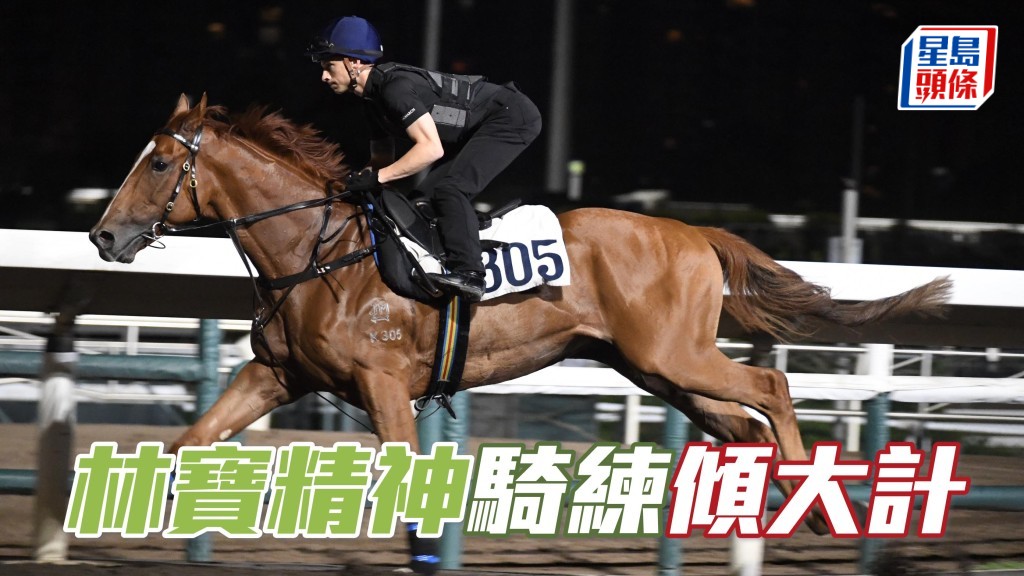 「林寶精神」今朝森仔到場立即出試，課後並詳細向阿廖匯報。