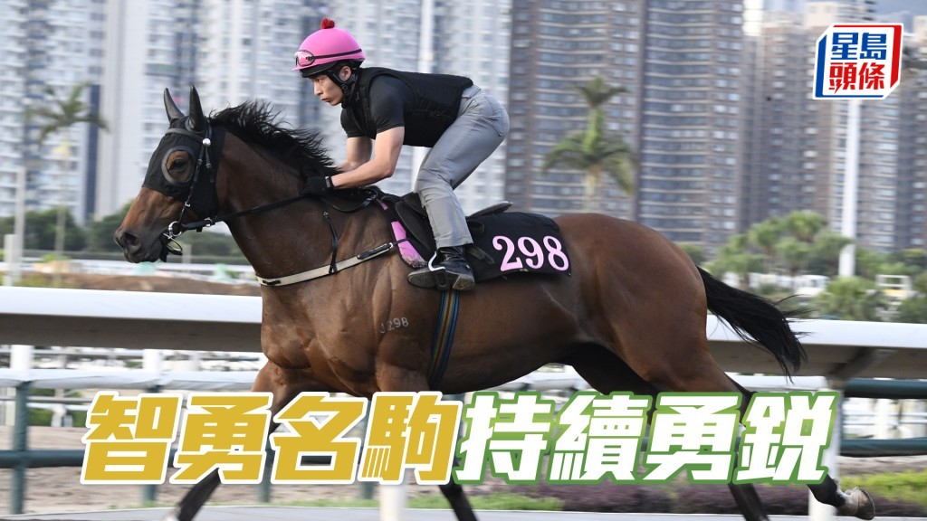 「智勇名駒」馬身喼得好靚，力度充足又有暗火。