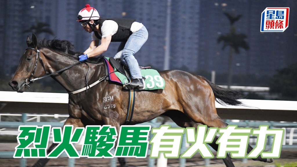 「烈火駿馬」毛色油潤悅目，有火有力之馬，狀態正值勇境。