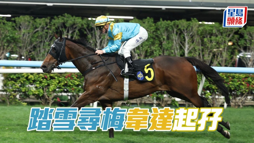 「踏雪尋梅」韋達起孖