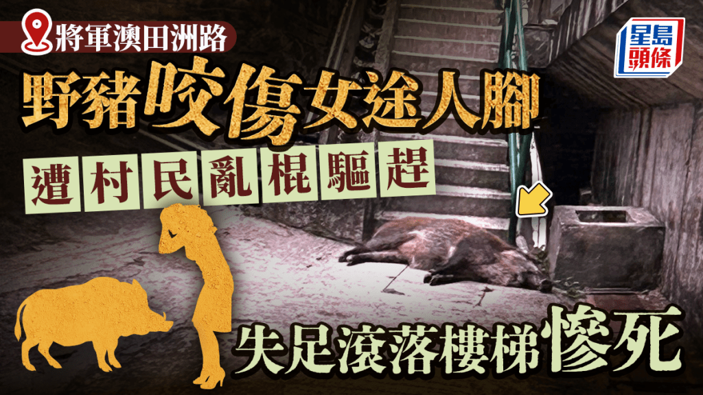 將軍澳野豬噬咬女子腳 遭村民亂棍驅趕滾落樓梯當場死