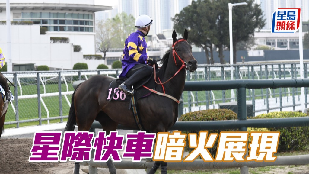 「星際快車」力度充沛雙目有神，狀態未見低落。