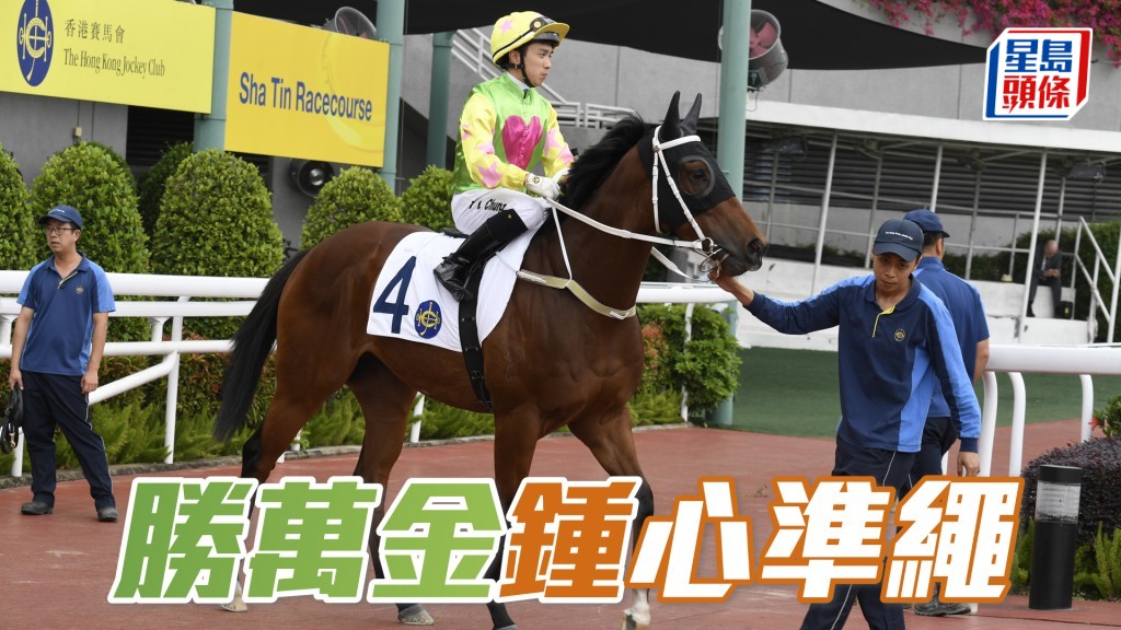 「勝萬金」今仗抽得六檔起步，有力再替四位馬主建功。
