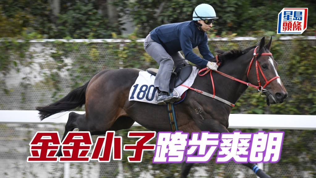 「金金小子」扣住走神情專注，傷癒操足極之醒神。