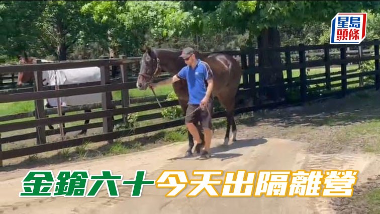 「金鎗六十」今日出了澳洲隔离营，第一天进驻MUSKOKA Farm。