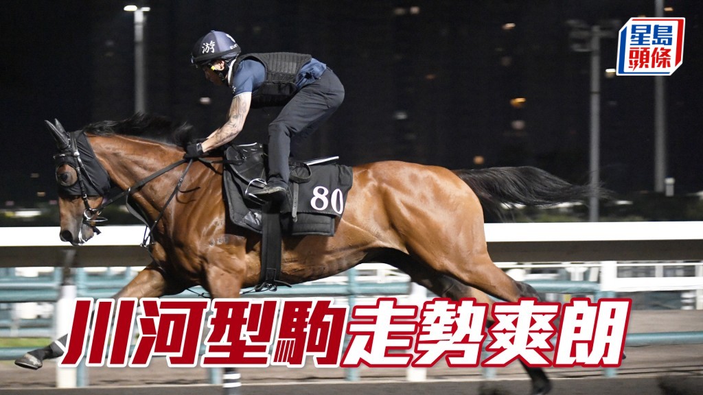  「川河型驹」均速完成身胀卜卜，毛色充满光泽。