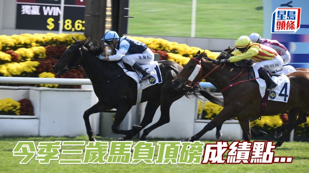 楊駿數據｜今季三歲馬負頂磅2W多P 