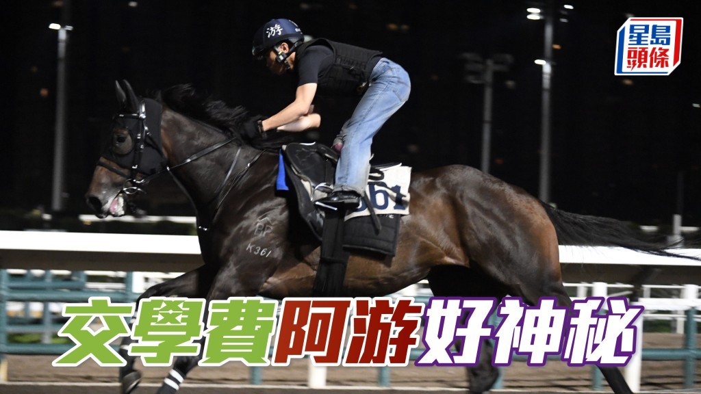 「交學費」今朝一早已到內圈踱步，課後游達榮現身機馬唔奇怪，特別在跟埋「交學費」返馬房之後再無出現過。