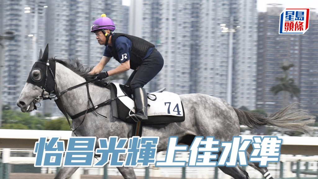  「怡昌光輝」走勢硬朗步挺開揚，馬身實淨神態仍佳。