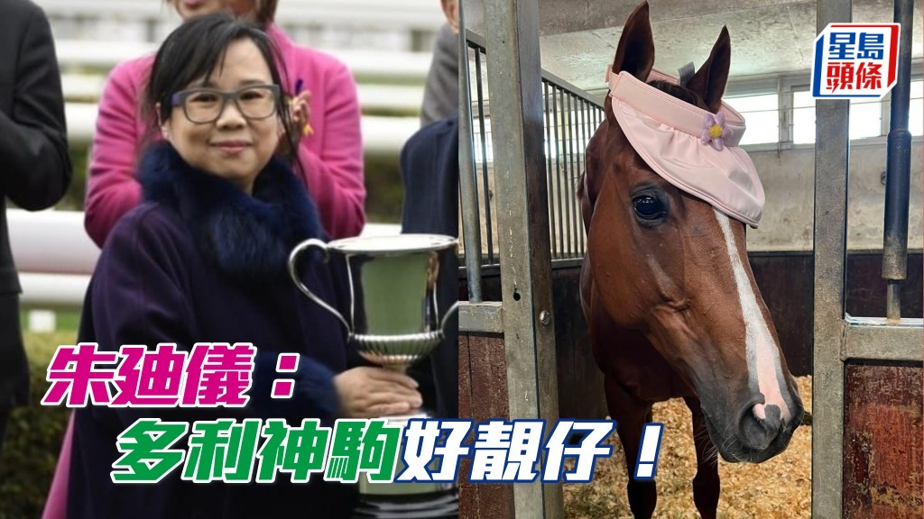 朱廸儀：「多利神駒」好靚仔！