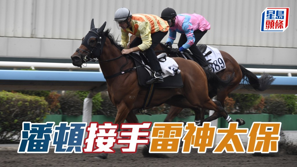 「雷神太保」(图) 今场帅权将落入潘顿手中，希望转换手风。