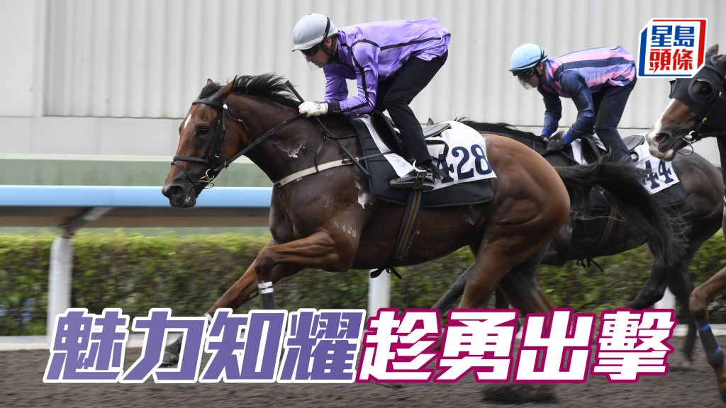 「魅力知耀」有輕磅優勢，相信幕後都會趁其有狀態把握機會攻堅。