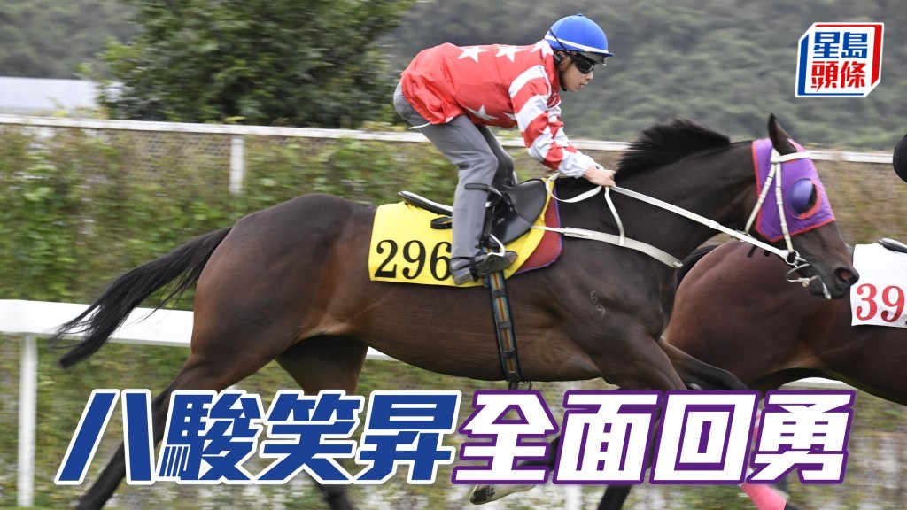 「八駿笑昇」助手踱一圈，以輕鬆姿態完成，馬身扎實毛色靚，朝氣勃勃全面回勇。(資料圖片)