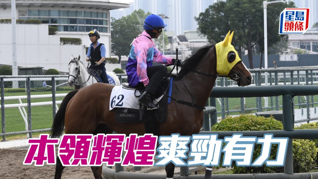 「本領輝煌」馬身脹卜卜，毛色油潤生光。