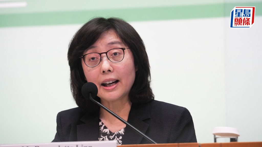 發展局局長甯漢豪表示，在「淡一啲」的整體經濟環境下，投地的人自然會較審慎保守。資料圖片