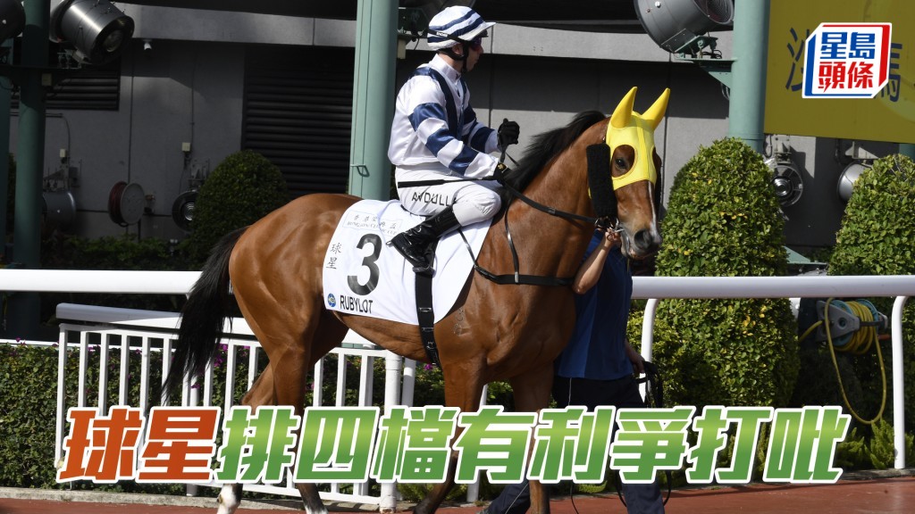 「球星」在打吡大賽中將排四檔起步。