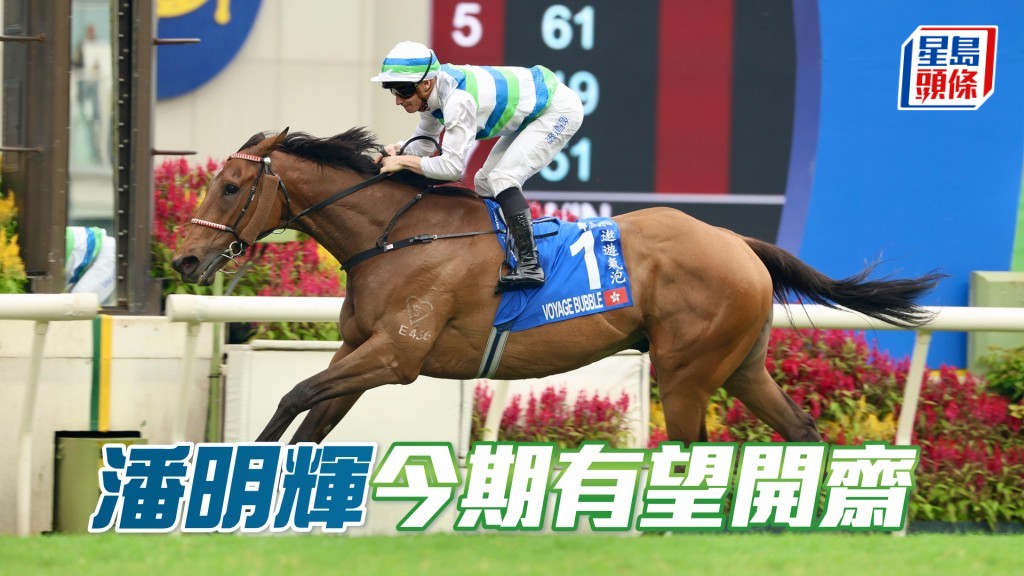 潘明輝周日將策騎「遨遊氣泡」角逐第七場千六米沙田錦標。