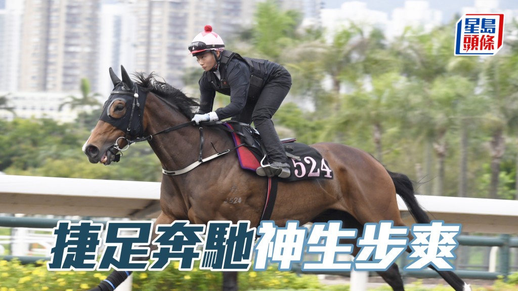 「捷足奔馳」毛色油潤悅目，有進無退弗到震。