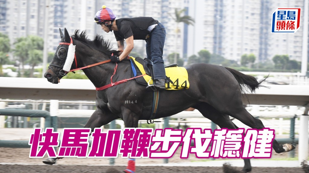 「快马加鞭」神色活跃暗火展现，具备争胜水准。