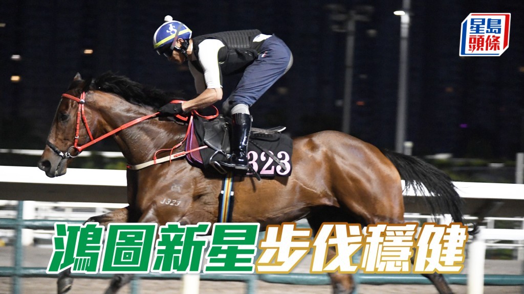 「鴻圖新星」神色火氣都唔差，具備爭勝水準。