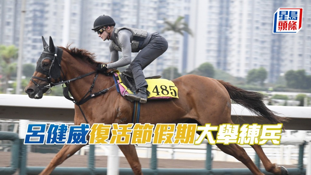  「手机表霸」今早由霍宏声主试。