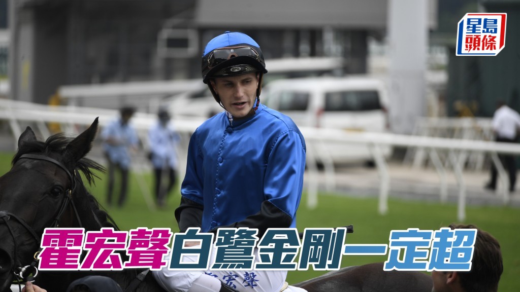 霍宏聲周日賽事共有八匹坐騎。